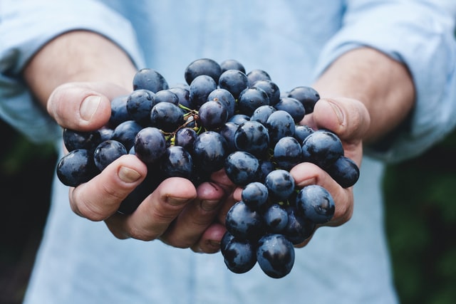 Photo by Maja Petric on Unsplash.